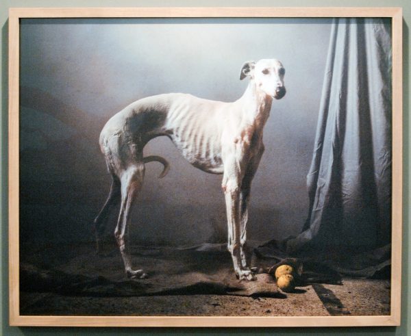 Flatland Gallery - Martin Usborne