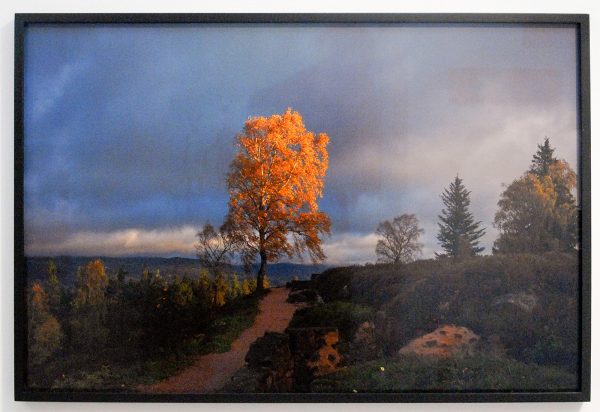 Jan van Hoof - LJAD Creyghton