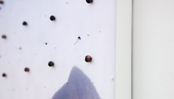 Berend Strik - Decipher the Artist's Mind (Studio HO) - 70x90cm C-print met borduursel (detail)