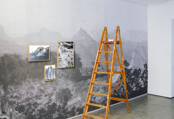 Jasmina Cibic - Show the land in which a wide space for national progress in ensured - Wallpaper and works