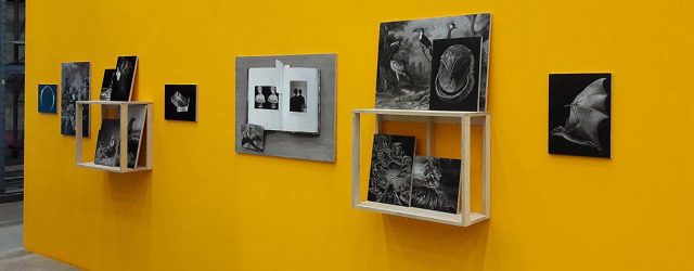 Prospects & Concepts viert haar 5-jarig jubileum en toont net als voorgaande jaren vrijwel alle kunstenaars die het jaar ervoor in 2015 een Werkbijdrage Jong Talent mochten ontvangen. (Enkele kunstenaars kiezen [&hellip;]