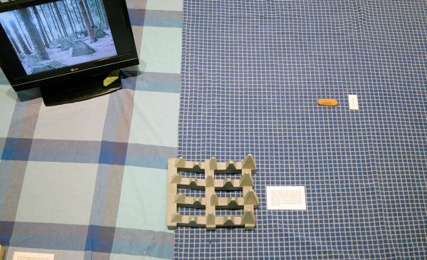 Joep Vossebeld - Een universum zonder handleiding geeft ruimte aan speculatie (detail)