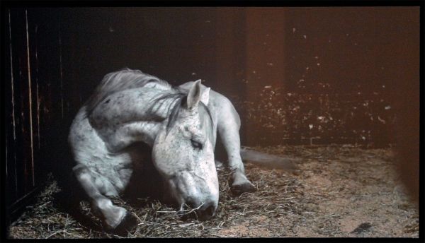 La Grande Horizontale - Andriesse Eyck Galerie - Charlotte Dumas