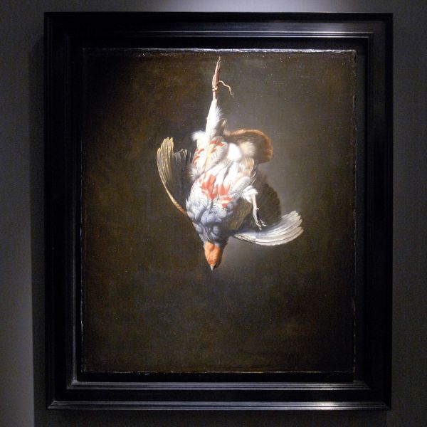 Rafael Valls Ltd - Simon Pietersz Verelst