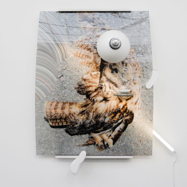 Kristof De Clercq Gallery - Honore d'O