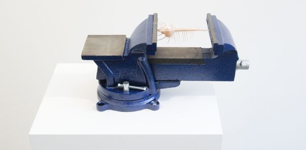 Meesen de Clercq - Nicolas Lamas