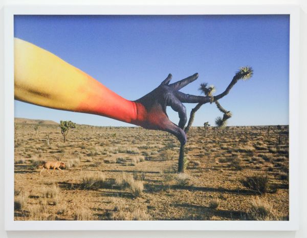 Cokkie Snoei Galerie - Benny Merris