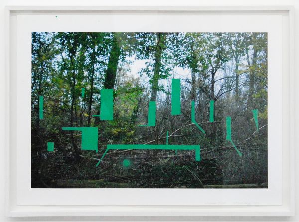 Slewe - Krijn de Koning