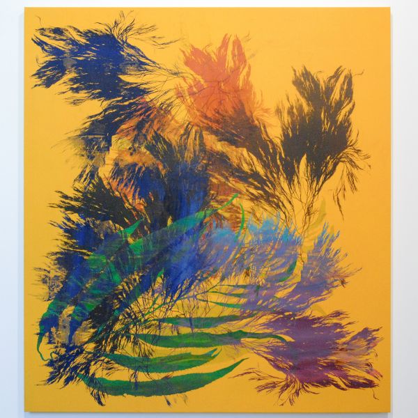 Christian Stein Galleria - Philip Taaffe