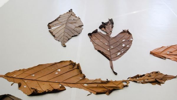 Lars Friedrich - Min Yoon