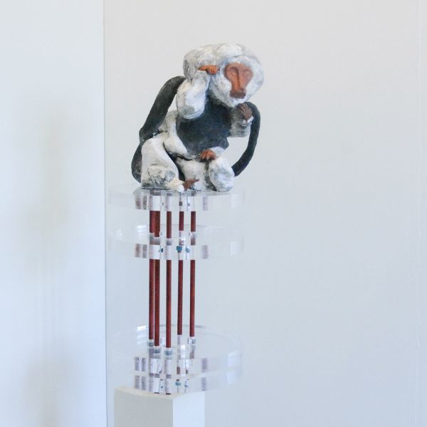 Mathew - Than Hussein Clark