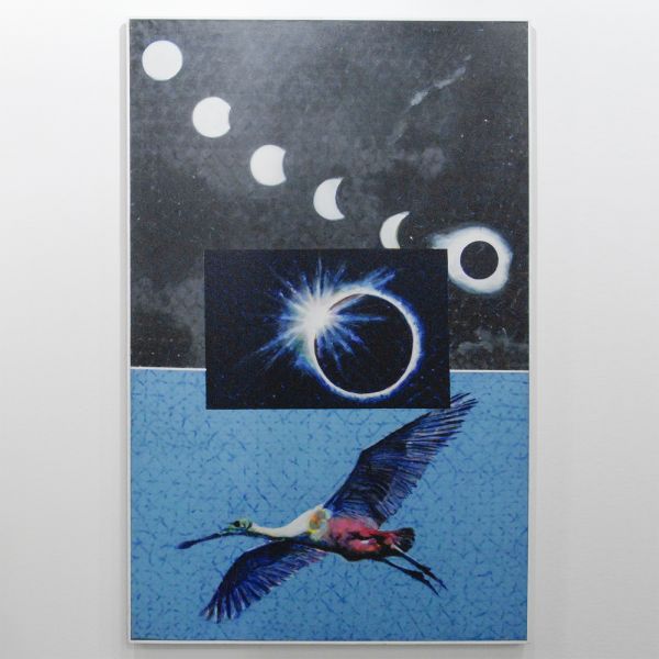 Tega - Claudio Cintoli