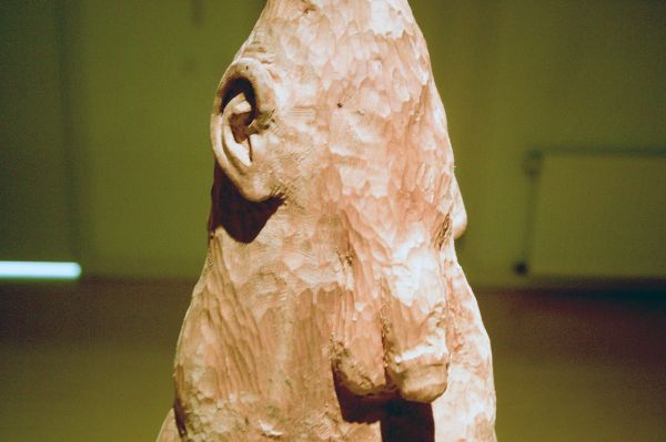 Femmy Otten - Days Undressed - Lindehout (detail)