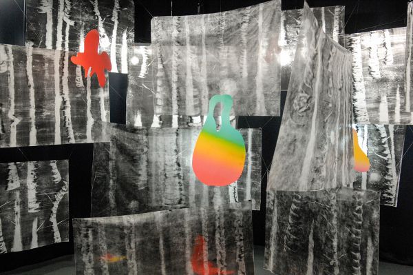 Katarzyna Jazienicka