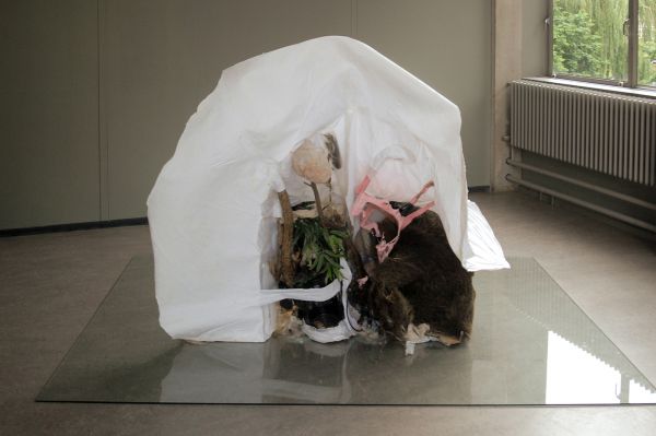 Magali Llattas Berrios