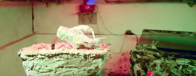 De Koninklijke Academie voor de Beeldende Kunsten in Den Haag is een van de meest interessante academies. Daar waar andere academies een kleine hoeveelheid studenten hebben die onder de beeldende [&hellip;]