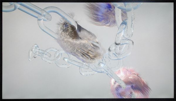 Valentina Gal - Best of Breed - 6,46minuten, Video