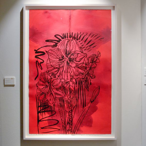 Dolf D van Omme - Erik Andriesse