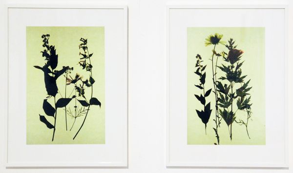 Iris Hofland - Indertijd - 30x40cm