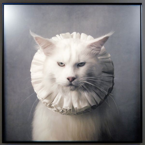 Smith Davidson Gallery - Marie Cecile Thijs