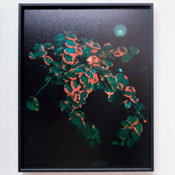 Heden - Lisa van Casand