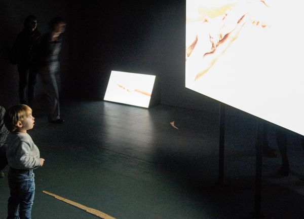 Katarina Zdjelar - Not a Pillar Not a Pile (Dance fur Dore Hoyer)