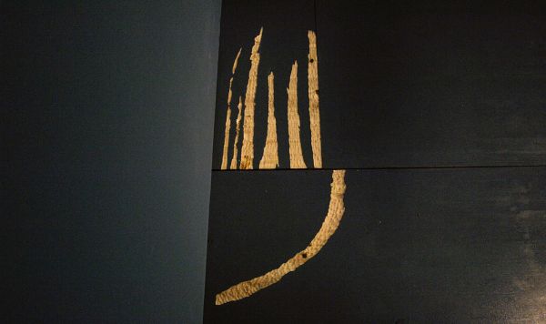 Katarina Zdjelar - Not a Pillar Not a Pile (Dance fur Dore Hoyer)