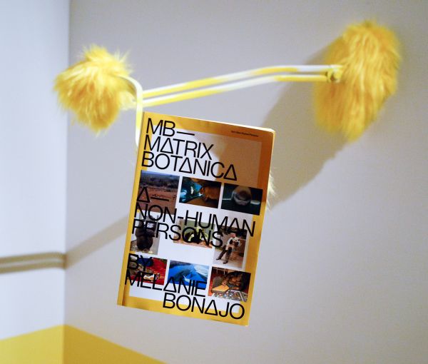 Melanie Bonajo - Progress vs Sunsets - HD Video, 48,24 minuten, installatie met Theo Demans