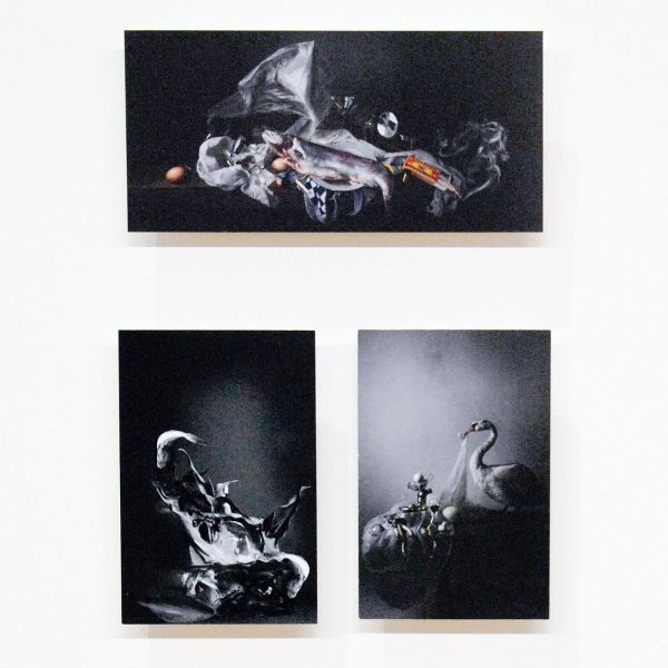 Torch - Louise te Poele