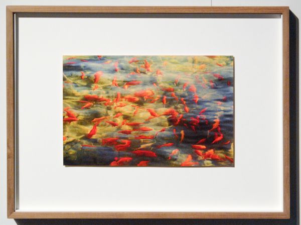 Bildhalle - Albarran Cabrera