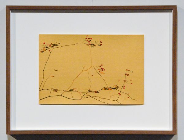 Bildhalle - Albarran Cabrera