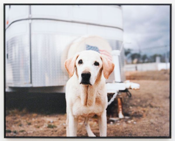 Charlotte Dumas - (?) - C-print