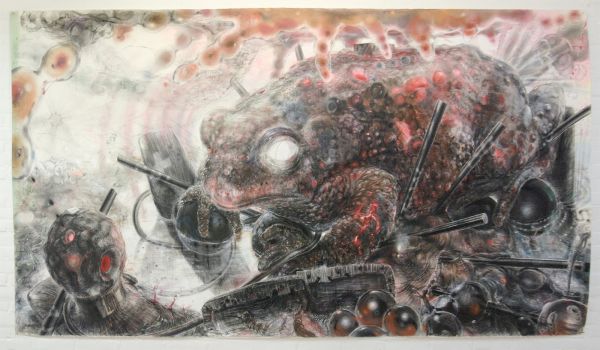 Hans de Wit - Toad - Pastel en houtskool op Saunders Waterford Papier