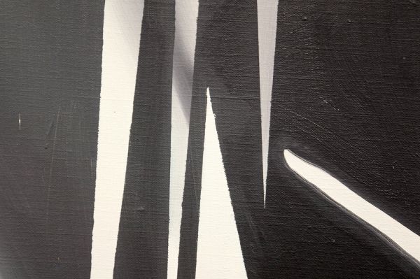 James Rosenquist - The Prickly Dark - Olieverf op canvas (detail)