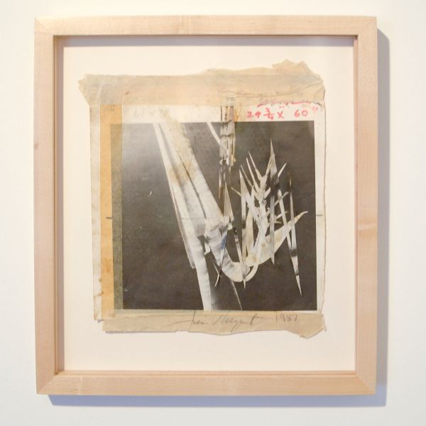 James Rosenquist - The Prickly Dark - Tijdschriftafbeeldingen en mixed media op boekafbeelding