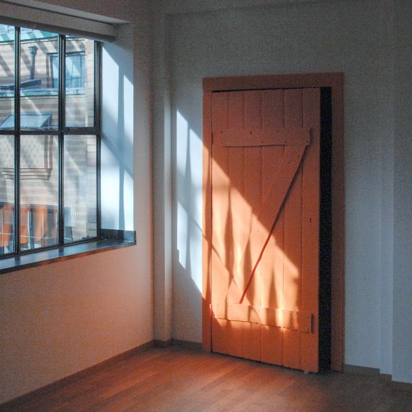 Morgan Betz - Flies on Milk (Door) - Polyester