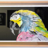 Bij het Rotterdams fotomuseum was ook een kunstbeurs. Om precies te zijn een fotografiebeurs onder leiding van Kahman Gallery onder de noemer Haute Photografie. Er doen slechts 12 galeriën aan [&hellip;]