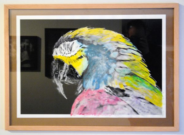 Noor - Sanne de Wilde