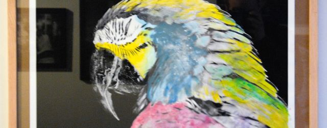 Bij het Rotterdams fotomuseum was ook een kunstbeurs. Om precies te zijn een fotografiebeurs onder leiding van Kahman Gallery onder de noemer Haute Photografie. Er doen slechts 12 galeriën aan [&hellip;]