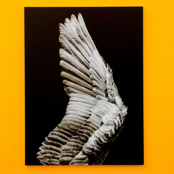 Roger Katwijk - Niek Hendrix