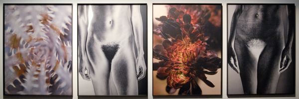 The Ravenstijn Gallery - Mona Kuhn