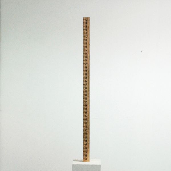 Evelin Brosi & Elvis Bonier - Een Alfabetische Liniaal om van A chter naar V oren te meten - Zeefdruk op eiken lat