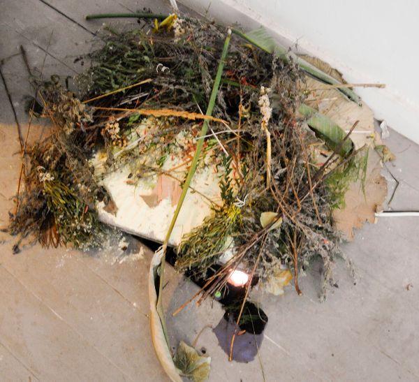 Anna Sophie de Vries