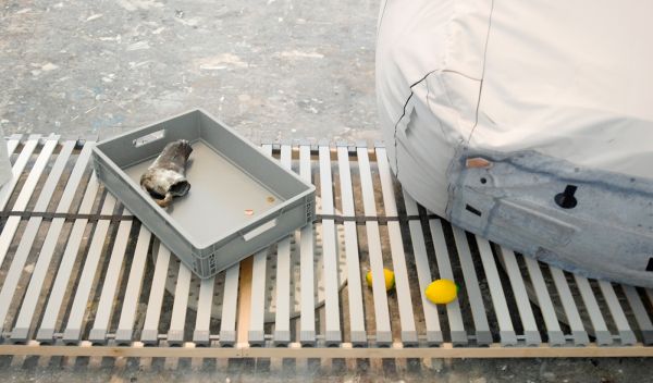 Benedikte Bjerre (detail)