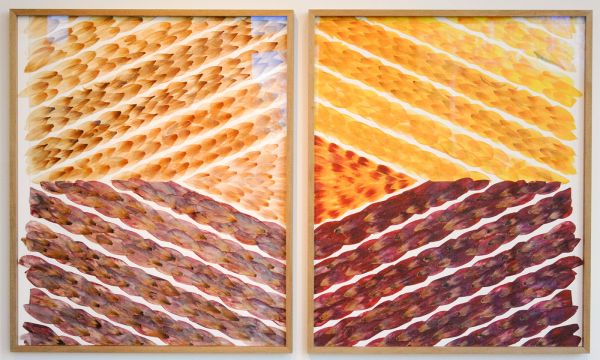 Jennifer Tee - Tampan - Tweeluik, ieder 65x54cm C-print en collage van tulpenbladen