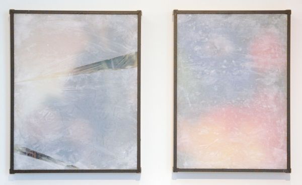 Lennart Lahuis - Parrot - 50x35cm & Still Life with Encyclopedia Americana - 50x40cm Inkjetprint op hout, bijenwas, papier en glas