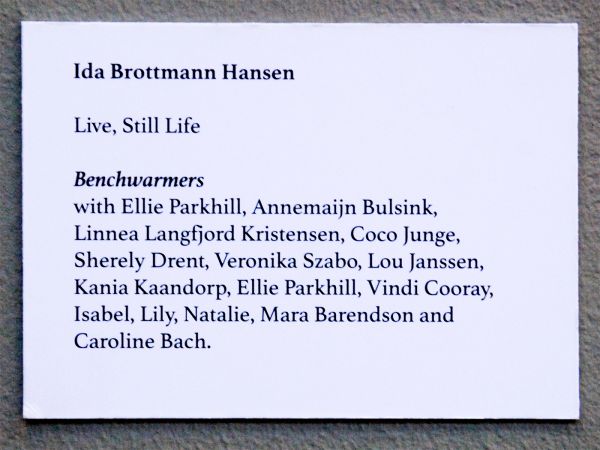 Ida Brottmann Hansen