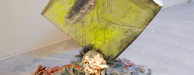 Vorig jaar was het een redelijk goede lichting op de Rietveld die afstudeerde maar wel viel op dat het veel totaalpresentaties zijn. Totaalpresentaties, waarmee ik bedoel dat het een hoop kleine [&hellip;]