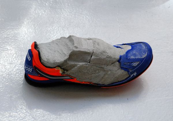 Martin van Zomeren - Nicolas Lamas - Fossil - 11x29x10cm Renschoen en cement