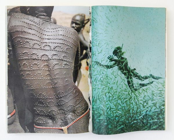 Martin van Zomeren - Nicolas Lamas - Parallel Worlds - 26x35cm National Geographic Magazine